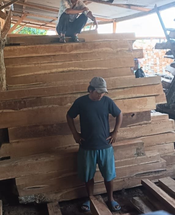 Sawn Teak